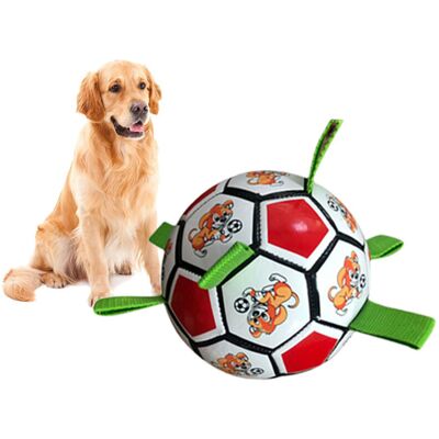 OEM Giocattolo Da Calcio A Forma Di Morso Di Cane OEM Giocattolo Da Calcio A Forma Di Morso Di Cane