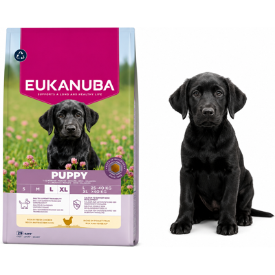 EUKANUBA Allevamento Di Cani Cuccioli Taglia Grande Al Pollo, Cibo Secco Per Cani, Confezione Da 18 Kg EUKANUBA Allevamento Di Cani Cuccioli Taglia Grande Al Pollo, Cibo Secco Per Cani, Confezione Da 18 Kg