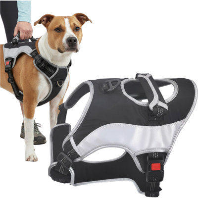 OEM Pettorina Per Cani Senza Pressione, Comoda, Di Protezione, Riflettente, M OEM Pettorina Per Cani Senza Pressione, Comoda, Di Protezione, Riflettente, M