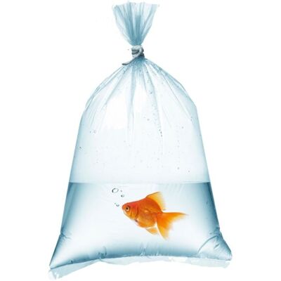 OEM Sacchetti Per Pesci D'Acquario 14x35 Cm - 50 Pezzi. OEM Sacchetti Per Pesci D'Acquario 14x35 Cm - 50 Pezzi.