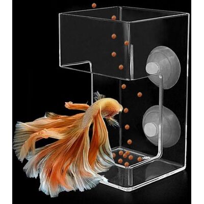 OEM Mangiatoia Automatica Quadrata In Due Pezzi Per Pesci - Design Anti-intasamento Con Anello Galleggiante - Mangiatoia Per Acquario - Mangiatoia Per Guppy - 10×6×6 Cm - Adatta Per Alimentare Vari Pesci OEM Mangiatoia Automatica Quadrata In Due Pezzi Per Pesci - Design Anti-intasamento Con Anello Galleggiante - Mangiatoia Per Acquario - Mangiatoia Per Guppy - 10×6×6 Cm - Adatta Per Alimentare Vari Pesci