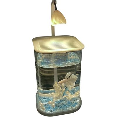 OEM Acquario Da Tavolo In Vetro Con Illuminazione A Led, Decorazione Di Alta Gamma Per Ufficio Per L'Allevamento Di Pesci. OEM Acquario Da Tavolo In Vetro Con Illuminazione A Led, Decorazione Di Alta Gamma Per Ufficio Per L'Allevamento Di Pesci.