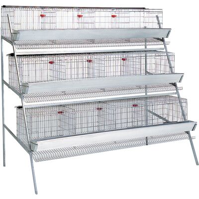 CONTROFRATELLI Batteria Per Galline Ovaiole A 3 Piani CONTROFRATELLI Batteria Per Galline Ovaiole A 3 Piani