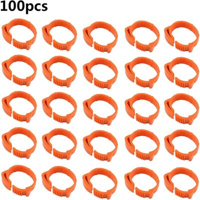 DPZO 100 Anelli Per Zampe Di Uccello, Fasce Per Zampe Di Pollo, Fasce Per Zampe Di Uccello Numerate 001-100, Anelli Regolabili Per Zampe Di Pollo Per L'Identificazione Di Uccelli, Pollo, Anatra, Pollame (a DPZO 100 Anelli Per Zampe Di Uccello, Fasce Per Zampe Di Pollo, Fasce Per Zampe Di Uccello Numerate 001-100, Anelli Regolabili Per Zampe Di Pollo Per L'Identificazione Di Uccelli, Pollo, Anatra, Pollame (a