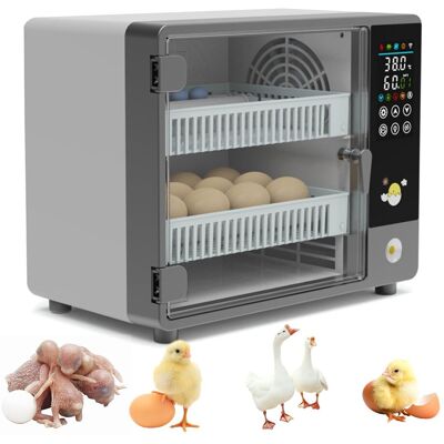 OEM Incubatrice Automatica Per Uova, Con Rotazione Automatica Delle Uova, Controllo Della Temperatura E Vassoio Regolabile, Doppia Alimentazione Per Uova Di Gallina, Quaglia E Anatra. OEM Incubatrice Automatica Per Uova, Con Rotazione Automatica Delle Uova, Controllo Della Temperatura E Vassoio Regolabile, Doppia Alimentazione Per Uova Di Gallina, Quaglia E Anatra.