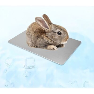 OEM Tappetino Rinfrescante Estivo Per Piccoli Animali OEM Tappetino Rinfrescante Estivo Per Piccoli Animali