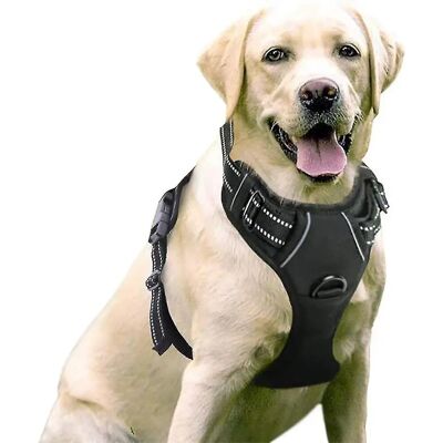 OEM Pettorina Antistrappo Per Cani, Imbottita, Regolabile, Adatta Per L'Addestramento O Le Passeggiate Con Cani Di Grossa Taglia, Taglia Xl, Nera, Adatta Per Cani Da 20 A 41 Kg. OEM Pettorina Antistrappo Per Cani, Imbottita, Regolabile, Adatta Per L'Addestramento O Le Passeggiate Con Cani Di Grossa Taglia, Taglia Xl, Nera, Adatta Per Cani Da 20 A 41 Kg.