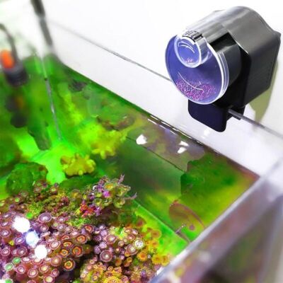 OEM Dispenser Automatico Di Mangime Per Pesci: Compatto, Programmabile, Capacità 150 G, Ideale Per Acquari Da Interno. OEM Dispenser Automatico Di Mangime Per Pesci: Compatto, Programmabile, Capacità 150 G, Ideale Per Acquari Da Interno.