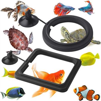 OEM Anelli Alimentari Per Acquario OEM Anelli Alimentari Per Acquario