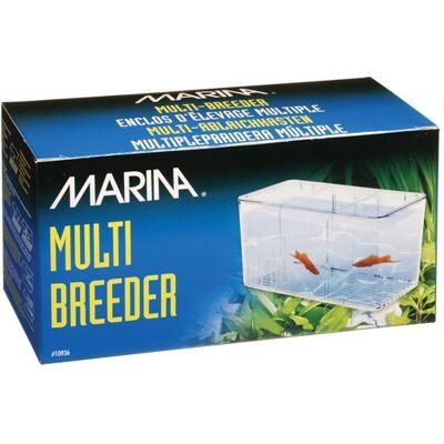 MARINA Multi Parida MARINA Multi Parida