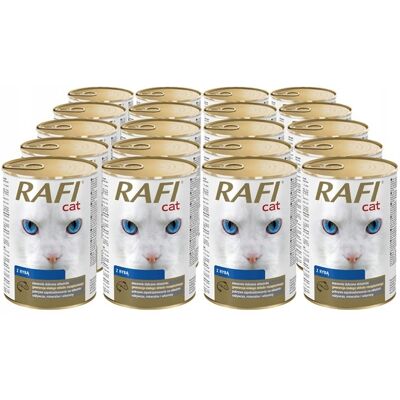 OEM Dolina Noteci Rafi Gatto Pezzi In Salsa 20x415g OEM Dolina Noteci Rafi Gatto Pezzi In Salsa 20x415g