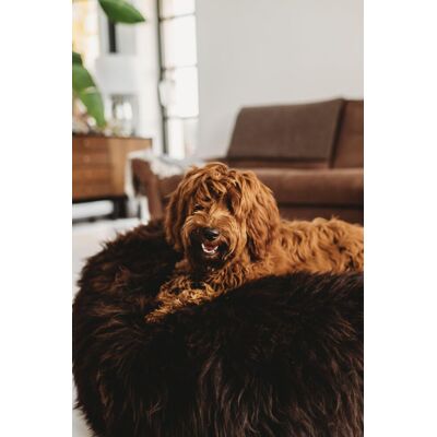OEM Cuccia Ovale In Pelle Di Pecora Naturale Per Animali Domestici - Marrone Cioccolato 130 Cm OEM Cuccia Ovale In Pelle Di Pecora Naturale Per Animali Domestici - Marrone Cioccolato 130 Cm