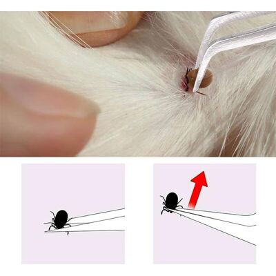 OEM Rimuovi Zecche 2 In 1 In Acciaio Inossidabile Per Cani E Gatti - Facile Da Usare - Altro OEM Rimuovi Zecche 2 In 1 In Acciaio Inossidabile Per Cani E Gatti - Facile Da Usare - Altro