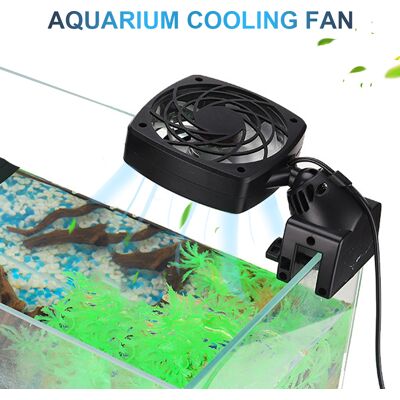 OEM Ventilatore Per Acquario, Refrigeratore, Sistema Di Raffreddamento Per Acquari D'Acqua Dolce E Salata, Controllo Della Temperatura, Raffreddamento OEM Ventilatore Per Acquario, Refrigeratore, Sistema Di Raffreddamento Per Acquari D'Acqua Dolce E Salata, Controllo Della Temperatura, Raffreddamento