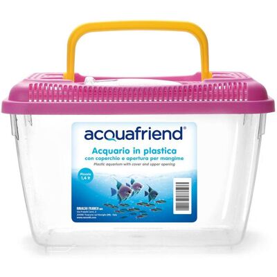 RECORD Super 38,5 X 24,5 X 25 H Cm: Acquario Trasportino In Plastica Per Pesci RECORD Super 38,5 X 24,5 X 25 H Cm: Acquario Trasportino In Plastica Per Pesci