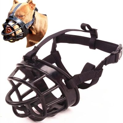 JALLERIA Museruola Per Cani, Previene I Morsi, Museruola Traspirante Per L'Addestramento Di Cani Di Piccola, Media E Grande Taglia, Taglia 4 JALLERIA Museruola Per Cani, Previene I Morsi, Museruola Traspirante Per L'Addestramento Di Cani Di Piccola, Media E Grande Taglia, Taglia 4