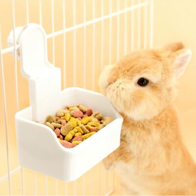 OEM Ciotole Per Conigli, Ciotole Per L'Acqua Da Gabbia, Ciotole Per Cibo E Acqua Per Cuccioli, Gatti, Conigli, Porcellini D'India, Furetti E Altri Piccoli Animali (bianche). OEM Ciotole Per Conigli, Ciotole Per L'Acqua Da Gabbia, Ciotole Per Cibo E Acqua Per Cuccioli, Gatti, Conigli, Porcellini D'India, Furetti E Altri Piccoli Animali (bianche).