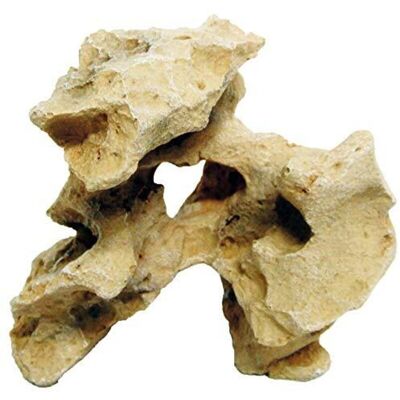 Decorazione per acquario Gallura Beige - Arco roccia 17x15x11,5cm Decorazione per acquario Gallura Beige - Arco roccia 17x15x11,5cm