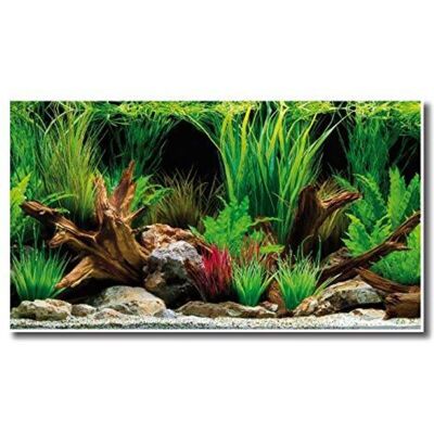 Sfondo per acquario Amtra Wonder - Poster in plastica doppio lato - 60x150cm Sfondo per acquario Amtra Wonder - Poster in plastica doppio lato - 60x150cm