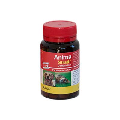 STANGEST Anima Strath 120cpd - STANGEST Anima Strath 120cpd -