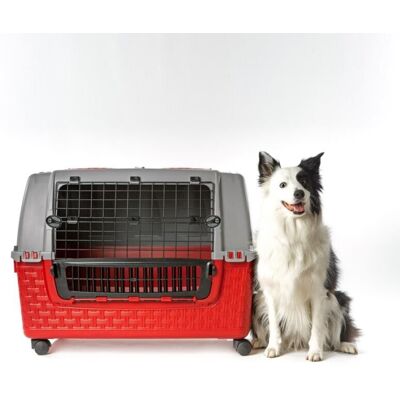Bama - Trasportino Easy Tour Con Ruote Per Cani E Gatti 88x52x60cm - 19140 Bama - Trasportino Easy Tour Con Ruote Per Cani E Gatti 88x52x60cm - 19140