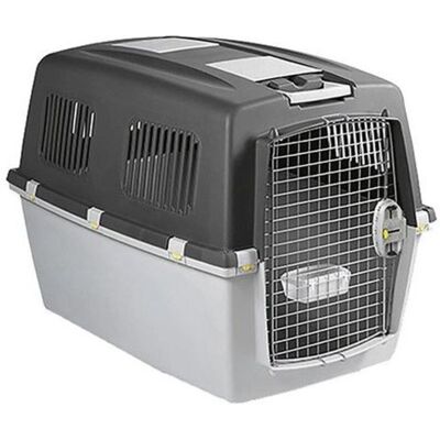 Trasportino per animali Zolux GULLIVER 3 - Cane, Gatto, Roditore Trasportino per animali Zolux GULLIVER 3 - Cane, Gatto, Roditore