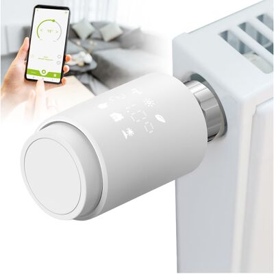 Olympia Termostato Hat 02y Programmabile Wifi Olympia Termostato Hat 02y Programmabile Wifi