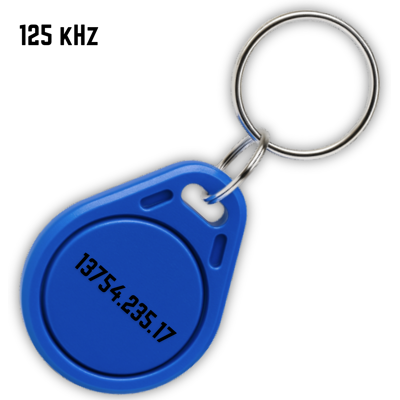 OEM Portachiavi Di Accesso Unico Tag-2 Rfid 125 Khz OEM Portachiavi Di Accesso Unico Tag-2 Rfid 125 Khz