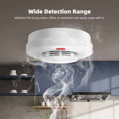 OEM Rilevatore Di Fumo Wi-fi Tuya Con Allarme Acustico E App Mobile Per La Protezione Antincendio, Funzione Di Cancellazione -crezuo OEM Rilevatore Di Fumo Wi-fi Tuya Con Allarme Acustico E App Mobile Per La Protezione Antincendio, Funzione Di Cancellazione -crezuo