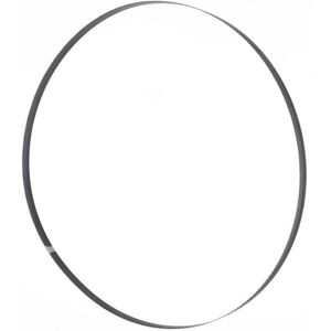 HOLZMANN Lama Nastro X Legno 5020x8x0,65mm 6 Z HOLZMANN Lama Nastro X Legno 5020x8x0,65mm 6 Z