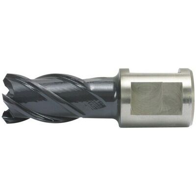 Alfra Perforatrice a nuclei 16 mm - Acciaio, Precisa, Resistente Alfra Perforatrice a nuclei 16 mm - Acciaio, Precisa, Resistente