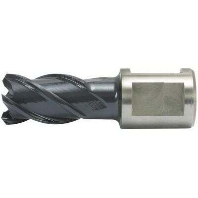 ALFRA Trapano a nucleo in carburo - Diametro 43mm - Profondità 25mm - HSS-Co RQX ALFRA Trapano a nucleo in carburo - Diametro 43mm - Profondità 25mm - HSS-Co RQX