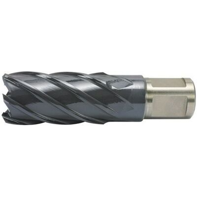 ALFRA Trapano a Nucleo in Acciaio - Profondità 50mm - Ø 46mm - Utensile di Taglio di Precisione ALFRA Trapano a Nucleo in Acciaio - Profondità 50mm - Ø 46mm - Utensile di Taglio di Precisione