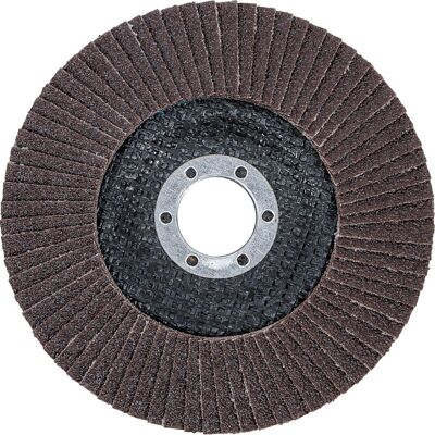 BGS TECHNIC Disco Lamellare Ø 125 Mm K 80 BGS TECHNIC Disco Lamellare Ø 125 Mm K 80