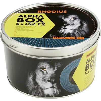 Disco di smerigliatura Rhodius LSZ F2 - 125mm, inox, K80, 5 pz Disco di smerigliatura Rhodius LSZ F2 - 125mm, inox, K80, 5 pz