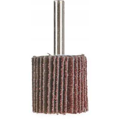 IMPORT Disco Flap Geko G78730 Grana P40 30x30x6 Mm IMPORT Disco Flap Geko G78730 Grana P40 30x30x6 Mm