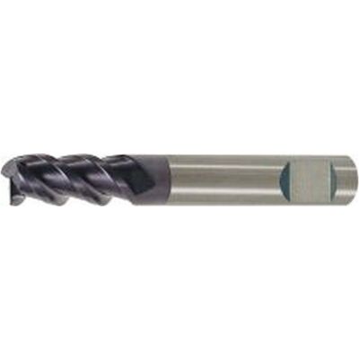 Forum Fragola Lunga Coda Cilindrica Hb, Metallo Duro, Ø D1 - H10: 10.0 Mm Lungo. Totale L1 70 Millimetri Lungo. Sezione L2 22 Millimetri Forum Fragola Lunga Coda Cilindrica Hb, Metallo Duro, Ø D1 - H10: 10.0 Mm Lungo. Totale L1 70 Millimetri Lungo. Sezione L2 22 Millimetri