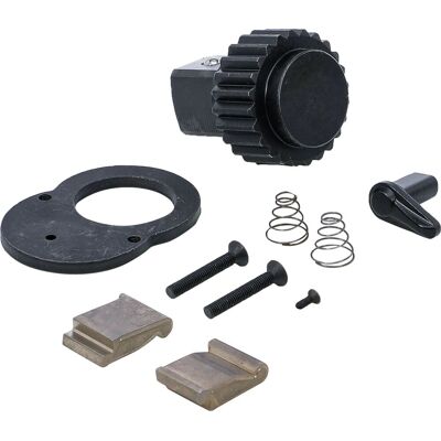 BGS TECHNIC Kit Di Riparazione Cricchetto Bgs 660-repair Con Viti BGS TECHNIC Kit Di Riparazione Cricchetto Bgs 660-repair Con Viti