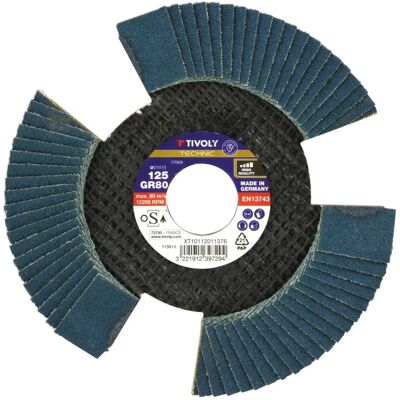 TIVOLY - Disco Abrasivo A Lamelle Zirconio Forato Speciale Vision Grana 120 Ø125mm Foro 22,2mm M14 TIVOLY - Disco Abrasivo A Lamelle Zirconio Forato Speciale Vision Grana 120 Ø125mm Foro 22,2mm M14