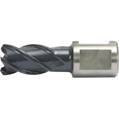 Trapano a cuore Alfra - Diametro 47mm, Rivestimento RQX - Foratura di precisione Trapano a cuore Alfra - Diametro 47mm, Rivestimento RQX - Foratura di precisione
