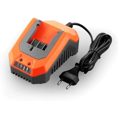 FUXTEC Caricabatterie Rapido Per 20v 2.4a E1lg2a FUXTEC Caricabatterie Rapido Per 20v 2.4a E1lg2a