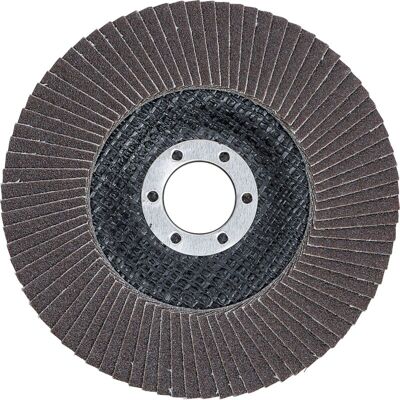 BGS TECHNIC Disco Lamellare Ø 125 Mm K 120 BGS TECHNIC Disco Lamellare Ø 125 Mm K 120