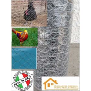 TREX Rete Tripla Torsione Zincata Dopo La Tessitura Maglia 16/2 Spessore Filo Ø Mm.0,6 Mt.50 Cm.50h. TREX Rete Tripla Torsione Zincata Dopo La Tessitura Maglia 16/2 Spessore Filo Ø Mm.0,6 Mt.50 Cm.50h.