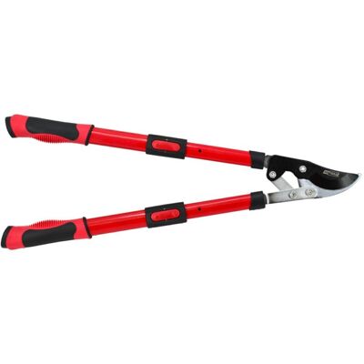 Awtools Aw63162 Potatore a Telescopio - Taglio 20mm Awtools Aw63162 Potatore a Telescopio - Taglio 20mm