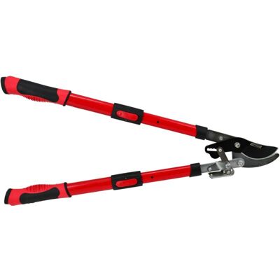 Awtools AW63160 Tagliasiepi telescopico - Tagliabordi/ Forbice Awtools AW63160 Tagliasiepi telescopico - Tagliabordi/ Forbice