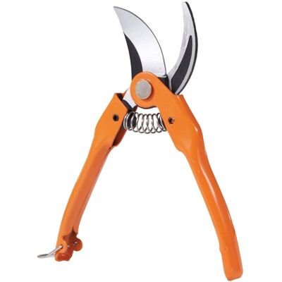 BRIXO Forbice Da Pota 23 Cm. France BRIXO Forbice Da Pota 23 Cm. France
