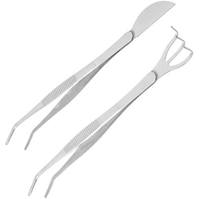 OEM Set Di Attrezzi Da Giardinaggio Composto Da 3 Pezzi: Forca, Zappa E Pala, Con Manico In Legno Antiscivolo. Attrezzi Da Giardinaggio Per Piantare, Diserbare E Manutenere. OEM Set Di Attrezzi Da Giardinaggio Composto Da 3 Pezzi: Forca, Zappa E Pala, Con Manico In Legno Antiscivolo. Attrezzi Da Giardinaggio Per Piantare, Diserbare E Manutenere.