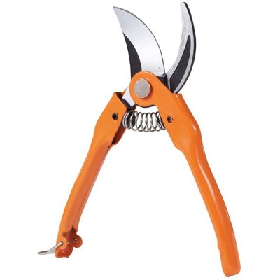 BRIXO Forbice Da Pota 23 Cm. France BRIXO Forbice Da Pota 23 Cm. France