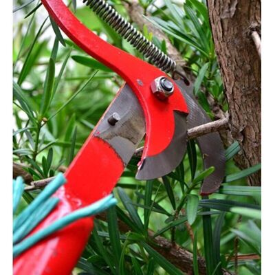 ENOWELIR Scala Telescopica Per La Raccolta Della Frutta, La Potatura E La Tagliatura Delle Siepi – Asta Regolabile Fino A 4 M, Sega Da Potatura Integrata ENOWELIR Scala Telescopica Per La Raccolta Della Frutta, La Potatura E La Tagliatura Delle Siepi – Asta Regolabile Fino A 4 M, Sega Da Potatura Integrata