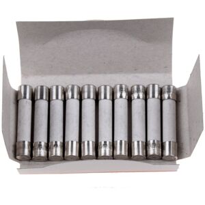 Bosch - Glaszekering - 10a - 6x32mm - 00152386 - 5401101516943 Bosch - Glaszekering - 10a - 6x32mm - 00152386 - 5401101516943